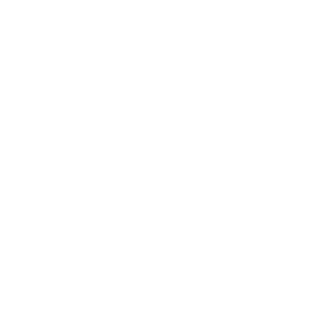 Icons 1