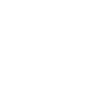 Icons 3