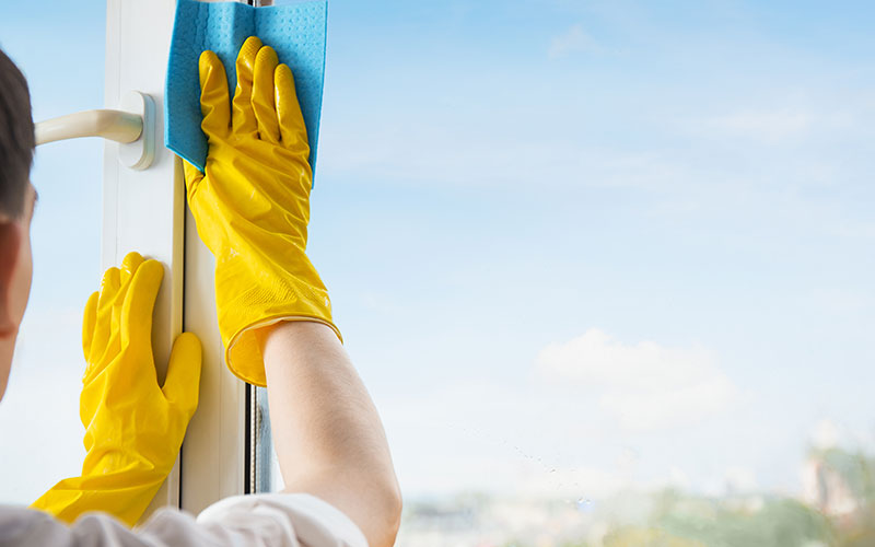 The Benefits of Professional Carpet Cleaning Post 5